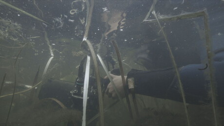 Het Klokhuis | Onderwaterfilm